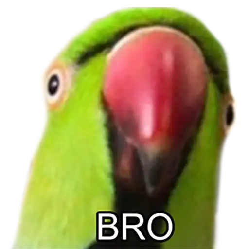 Bro Parrot preview