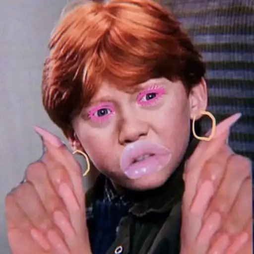 ✧ˎˊ Harry potter Memes preview