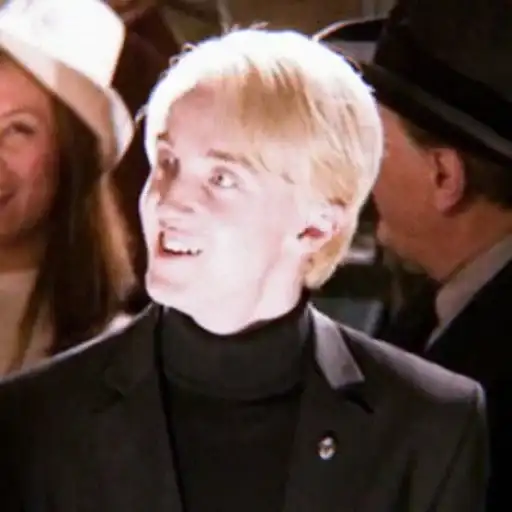 ✧ˎˊ Harry potter Memes preview