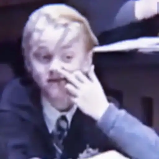 ✧ˎˊ Harry potter Memes preview