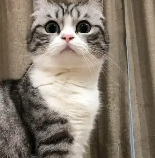 Sticker ❤️‍🔥