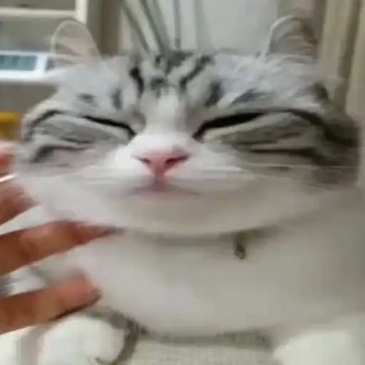 Будни Комару preview