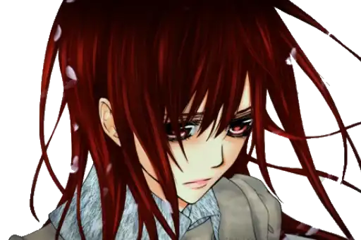 Vampire Knight(YukiKros preview