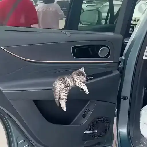 Sticker 🐈‍⬛️