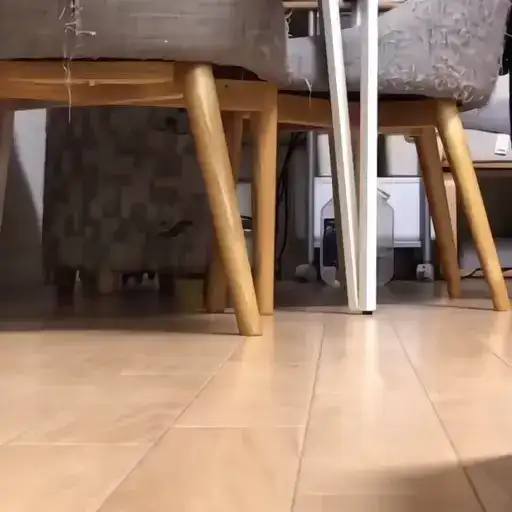 Sticker 🐈‍⬛️