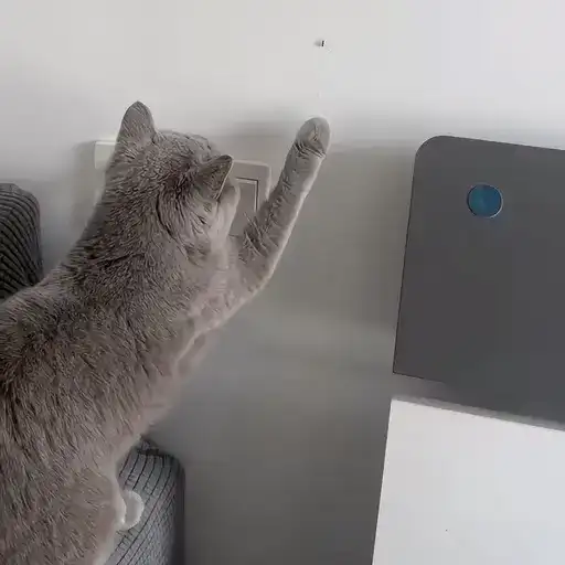 Sticker 🐈‍⬛️