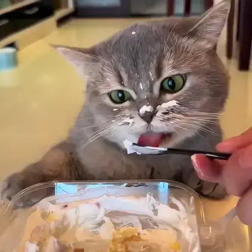 Sticker 🐈‍⬛️