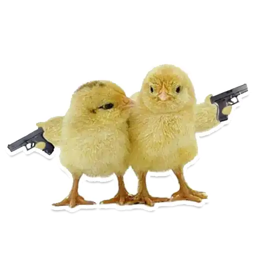 Sexy Animals preview