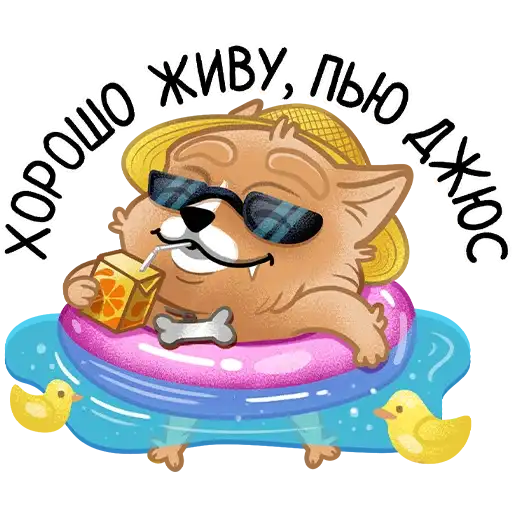 Шпиц Афина preview