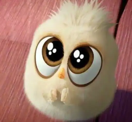 💖 Angry birds 🌟 preview