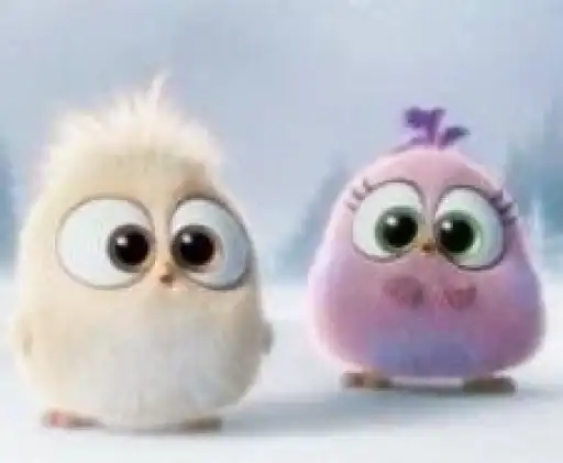 💖 Angry birds 🌟 preview