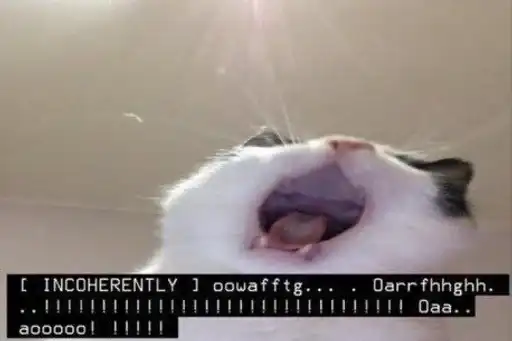 Всратые котята из пинтереста preview