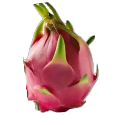 Dragon fruit preview