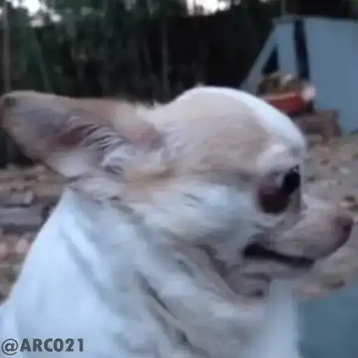 Sticker 😶‍🌫️