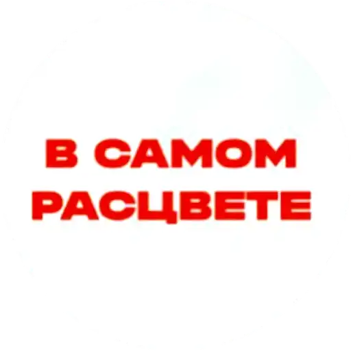 Красивые надписи preview