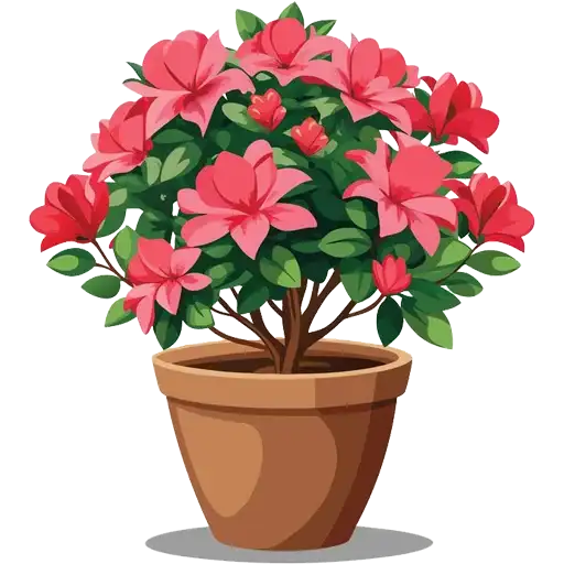 House Plants preview