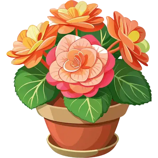 House Plants preview