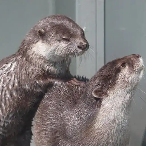 Sticker 💆‍♀️