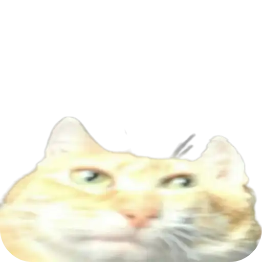 Sticker 🐱