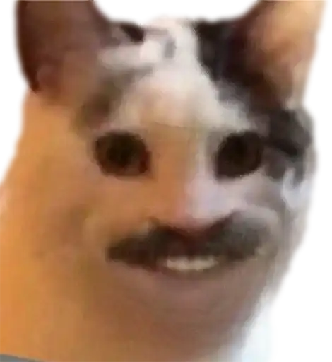 ⵋᙁᙓᘜᗝᘜᎽᙁᗝᔦᕼᕠᙓВы ➔ preview