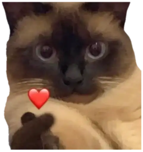 ⵋᙁᙓᘜᗝᘜᎽᙁᗝᔦᕼᕠᙓВы ➔ preview