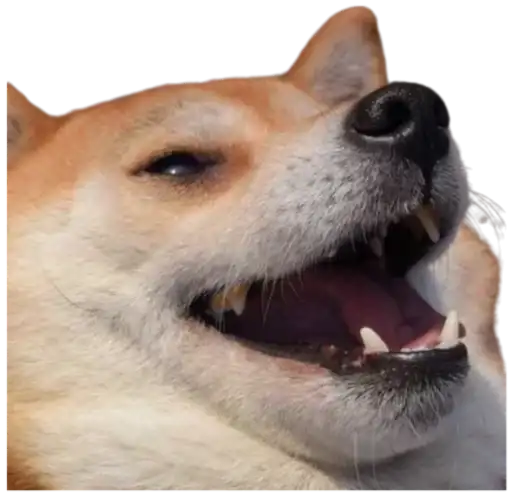 ⵋᙁᙓᘜᗝᘜᎽᙁᗝᔦᕼᕠᙓВы ➔ preview