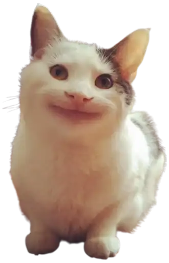 ⵋᙁᙓᘜᗝᘜᎽᙁᗝᔦᕼᕠᙓВы ➔ preview