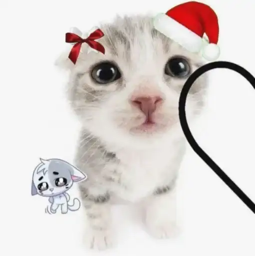 Нг котики♡ preview