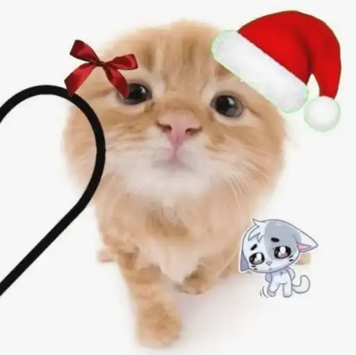 Нг котики♡ preview