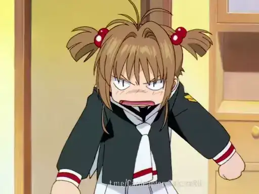 🌺 Cardcaptor Sakura 2🌺 preview
