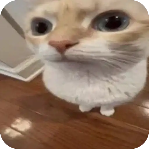 Sticker 🐱