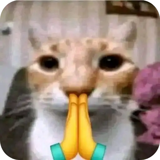 Sticker 🐱