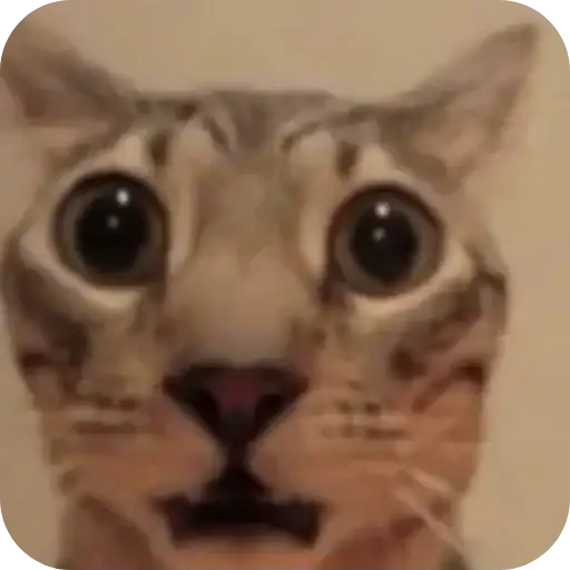 Sticker 🐱