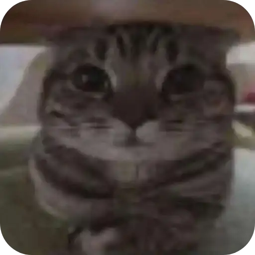 Sticker 🐱
