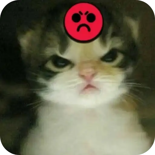 Sticker 🐱