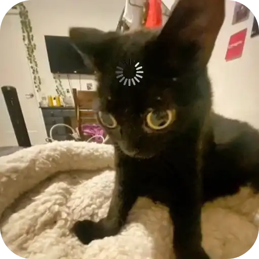 Sticker 🐱