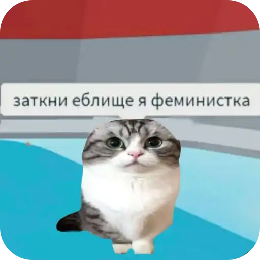 Sticker 🐱