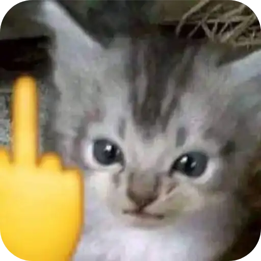 Sticker 🐱