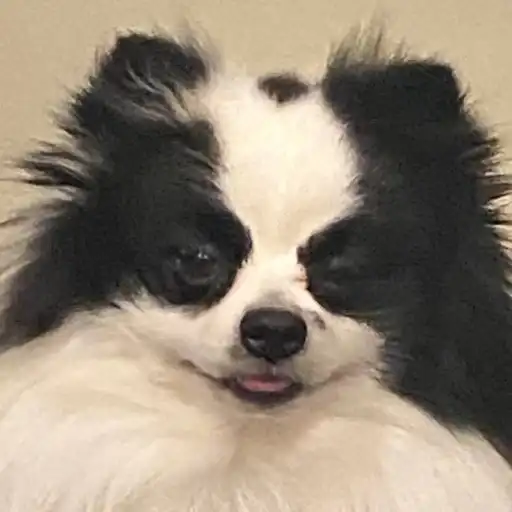 Chupa 🖤🤍🖤 preview