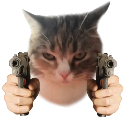 Котики с пистолетами preview
