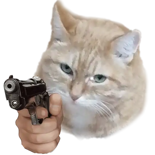 Котики с пистолетами preview