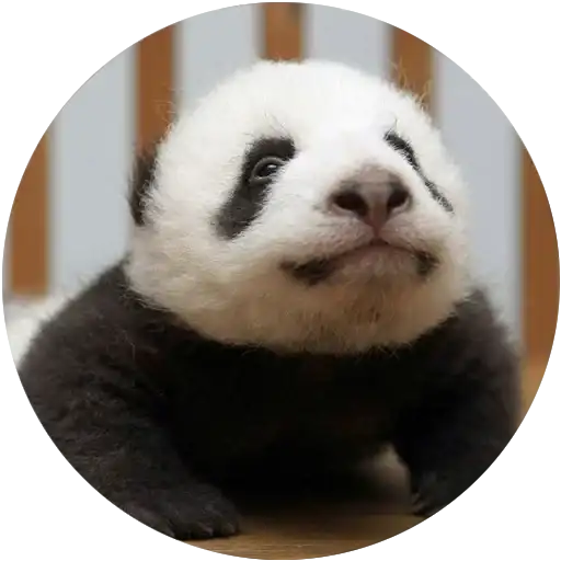 Kids Animals preview