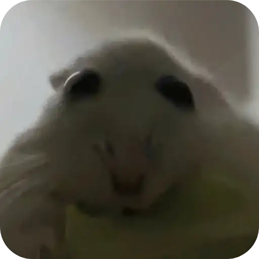 Хомячки preview