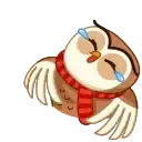 Polar Owl preview