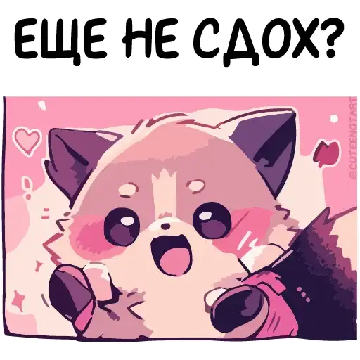 Енот Дабси🦝 preview