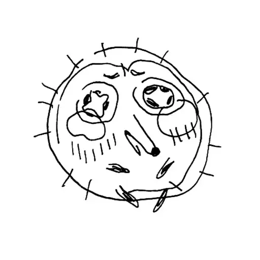 Дурацкие ежи preview