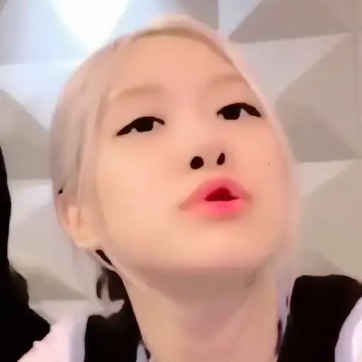 ˖ ★ 📟 rose preview