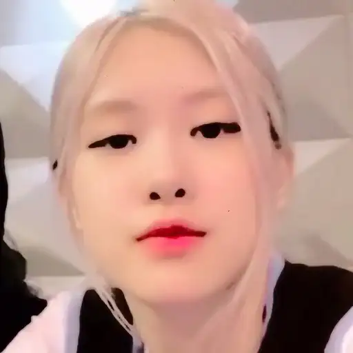 ˖ ★ 📟 rose preview