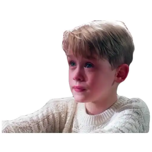 Один дома (2) preview