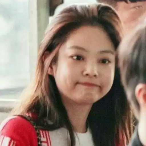 Jennie meme┊͙ preview